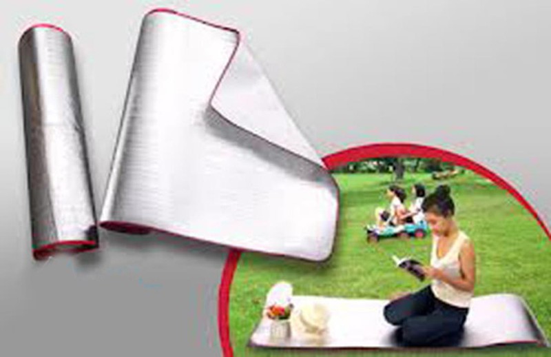 Chiếu ngủ văn phòng , du lịch 100 x 180 (cm)