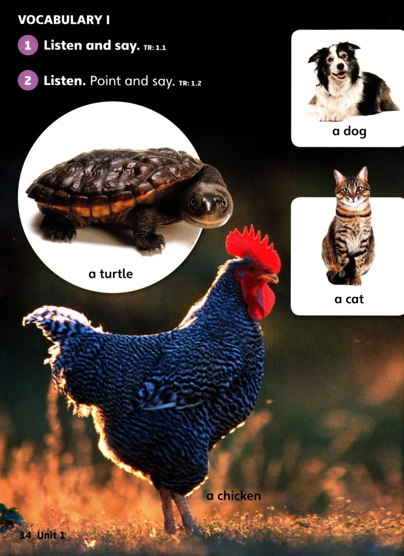 Sách Ngoại Văn - Fahasa - Explore Our World 2: Student's Book 2nd Edition