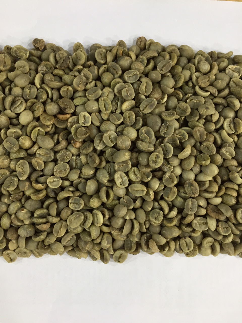 [HCM]Cà phê Nhân Xanh Arabica Cầu Đất Hemera S18 (3kg)