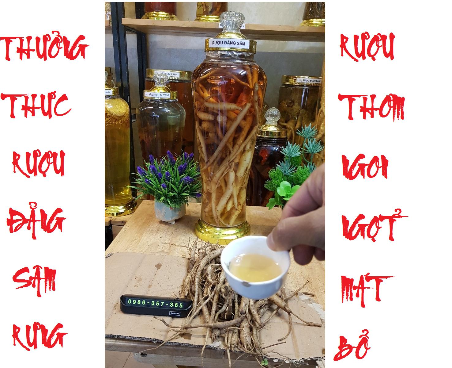 ĐẲNG SÂM ( SÂM DÂY NGỌC LINH ) KHÔ - 500G