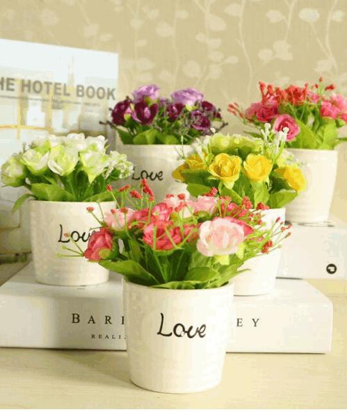 Chậu hoa love mini để bàn hoa nở