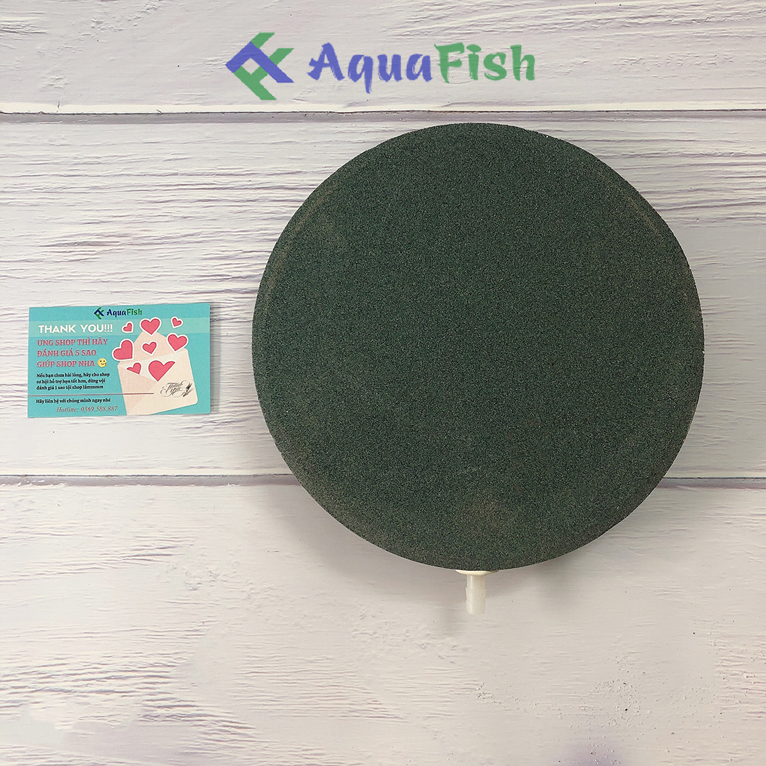 Đĩa sủi 20cm (dành cho bể cá)