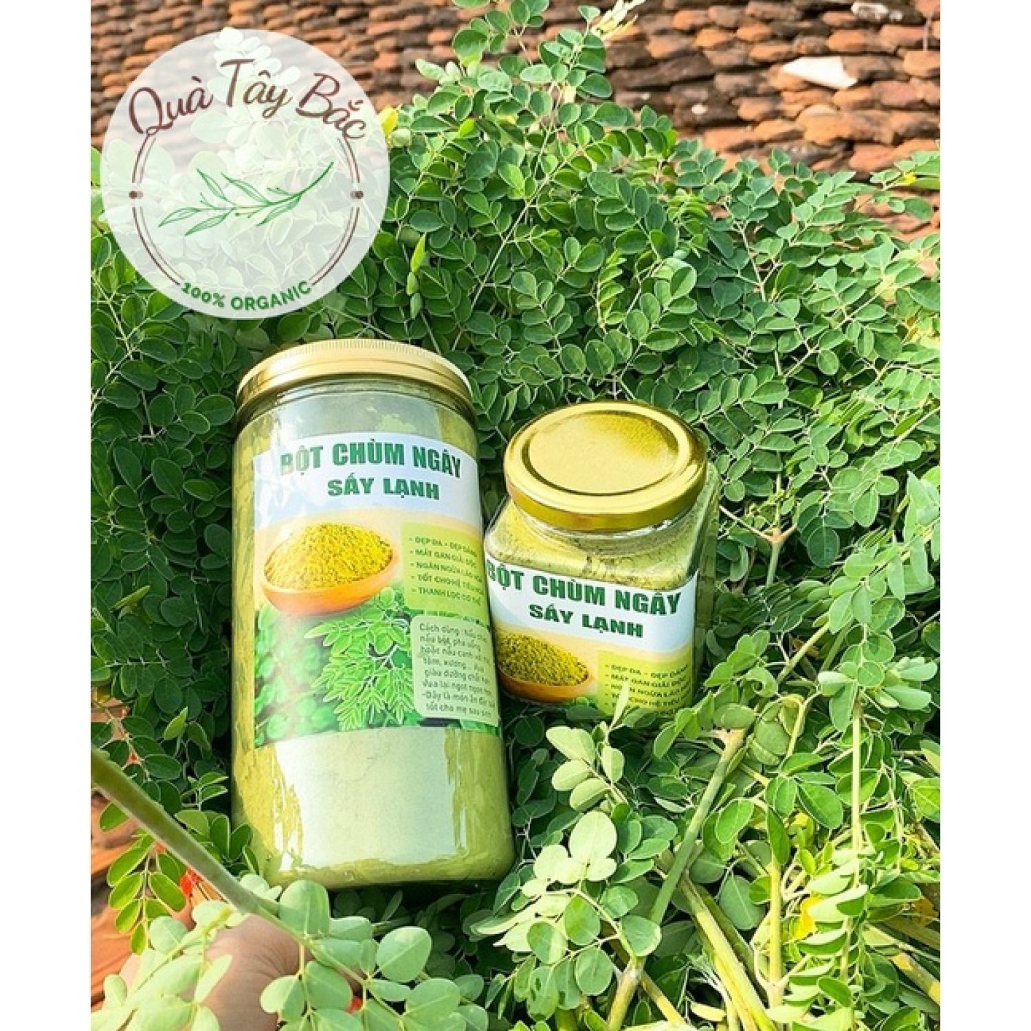 Bột lá chùm ngây nguyên chất sấy lạnh