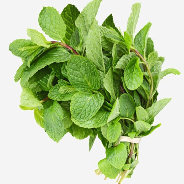 Hạt Giống Rau Húng Lủi Thơm Ngon (0.1gr)
