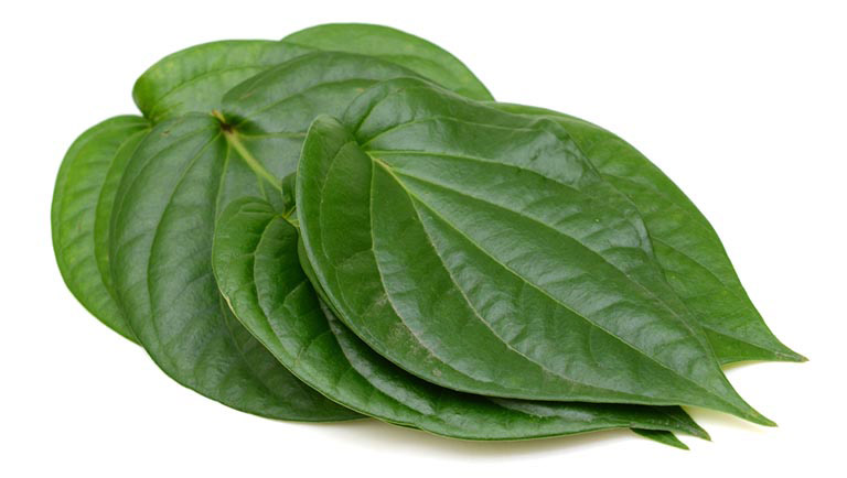 BỘT LÁ TRẦU KHÔNG (DẠNG TÚI LỌC) - OBAXUA