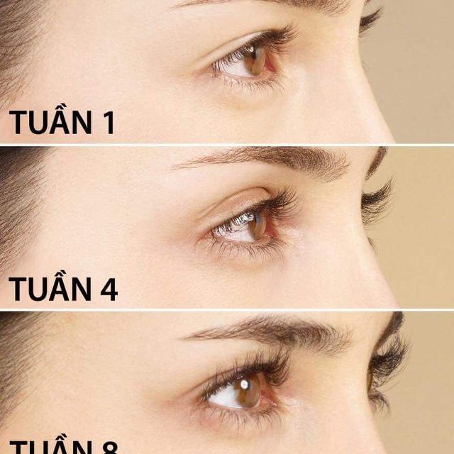 [HCM]DƯỠNG DÀI MI EVELINE 8IN1