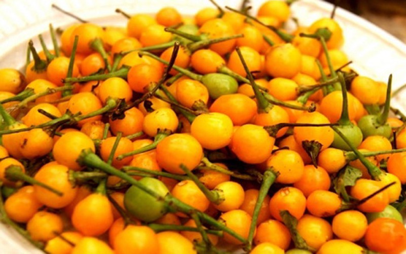 100 gam Quả ớt Charapita . Tặng 10 hạt