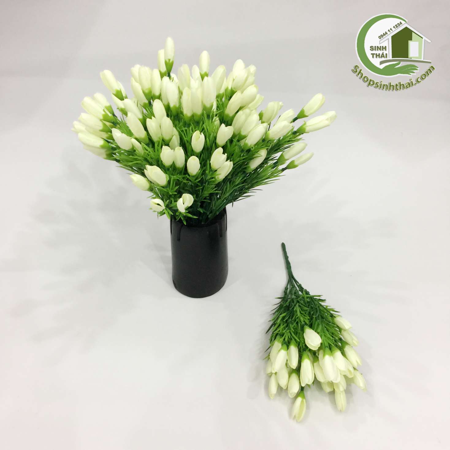 [HCM]Bụi Hoa Tulip Nhí Màu Trắng