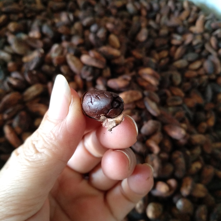 500 gr Bột cacao thơm ngon Nam Trường Sơn