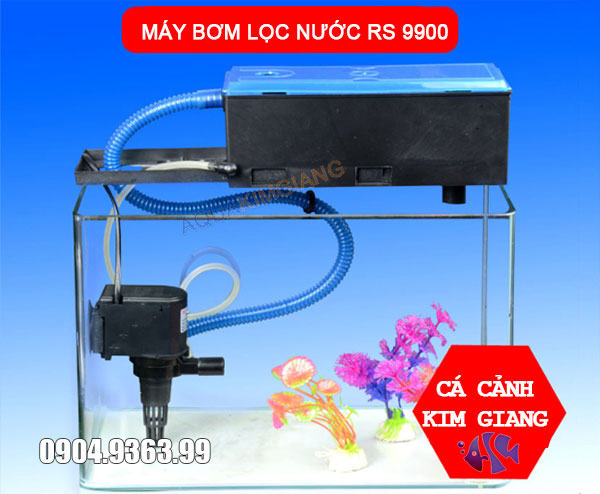 Máy lọc nước bể cá công suất 30W cho bể cá lớn
