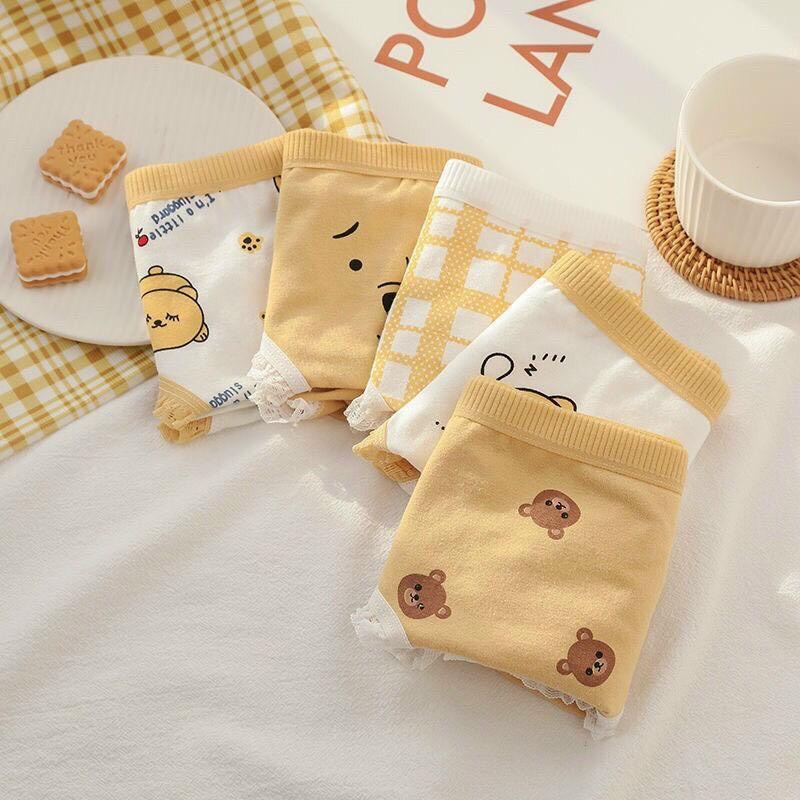 combo 5 quần gấu vàng chất cotton mát co dãn 40-58kg