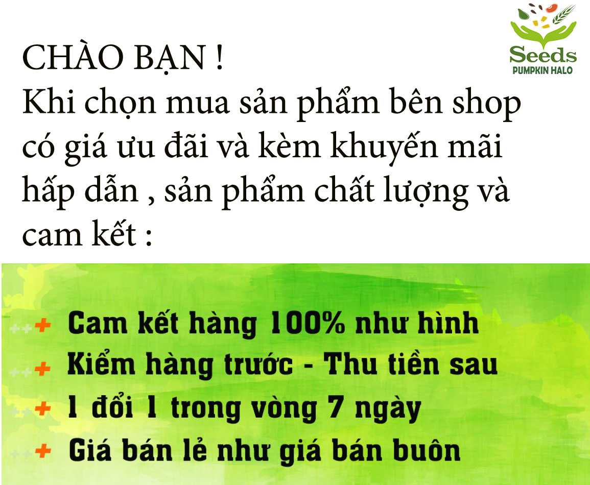 Bộ cuốc xẻng làm vườn mini - dụng cụ làm vườn mini