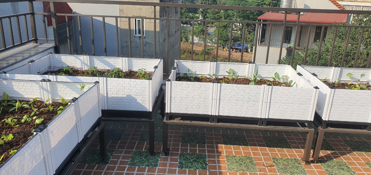 Phụ kiện chậu lắp ghép trồng cây thông minh