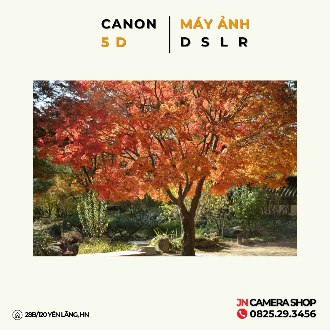 Canon 5D kèm ống kính 28-80mm