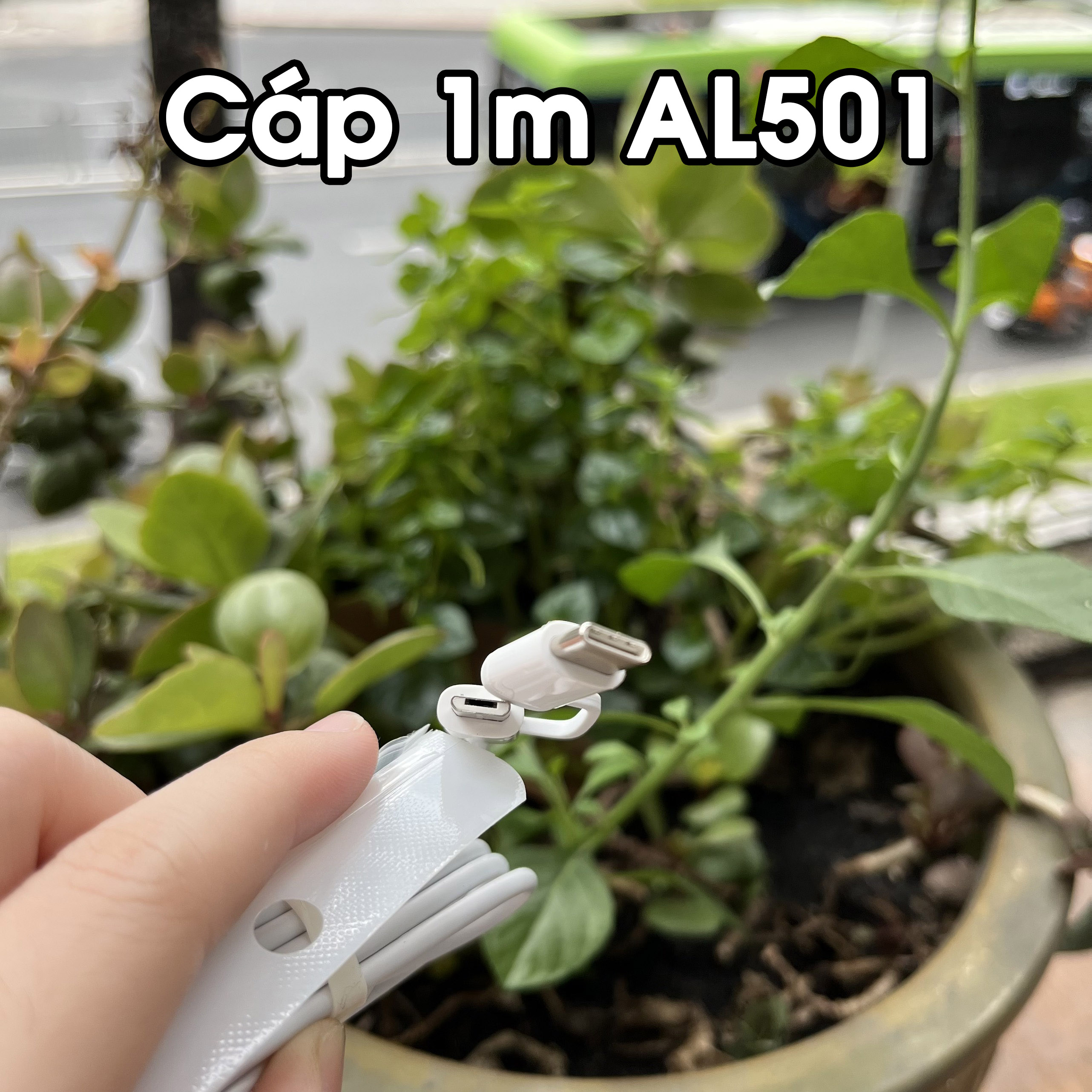 [Giao Hỏa Tốc] Cáp ZMI Micro USB – Type-C ( AL511 Dài 30cm & AL501 1mét ) Nguyên Hộp