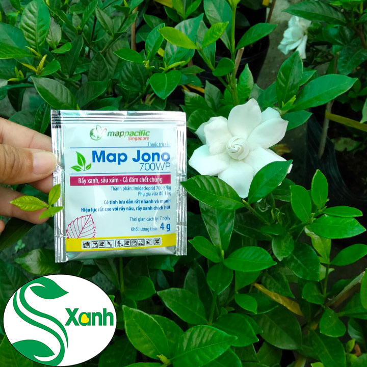 Thuốc trừ rầy rệp, rầy xanh, rầy xám, bọ trĩ map jono 700wp- gói 4g