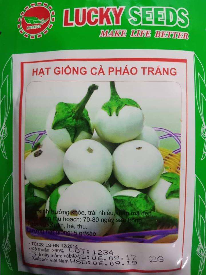 Hạt giống cà pháo trắng - 2gr
