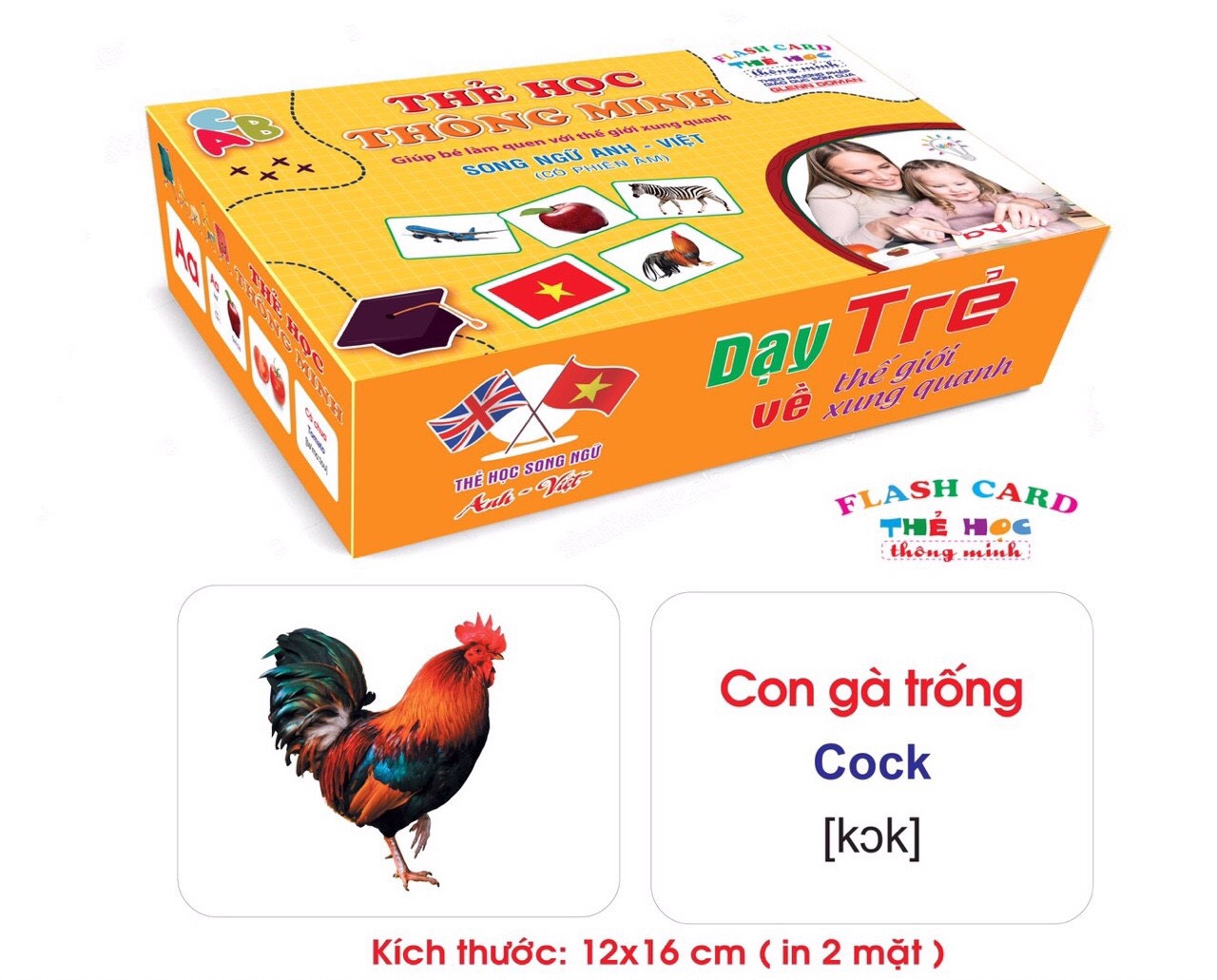 Smart bilingual learning card set for children to recognize [16 topics with 416 cards]