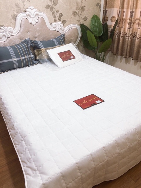 Ruột Chăn Hè Amanda Lông Vũ Bông Tấm 2Mx2M3