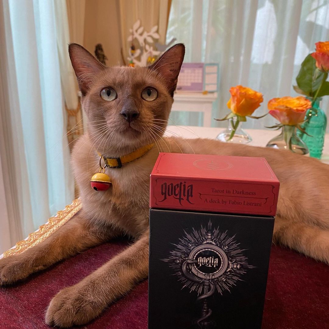 Goetia Tarot in Darkness