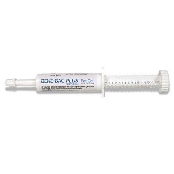 Men tiêu hóa Bene Bac Plus nhập Mỹ