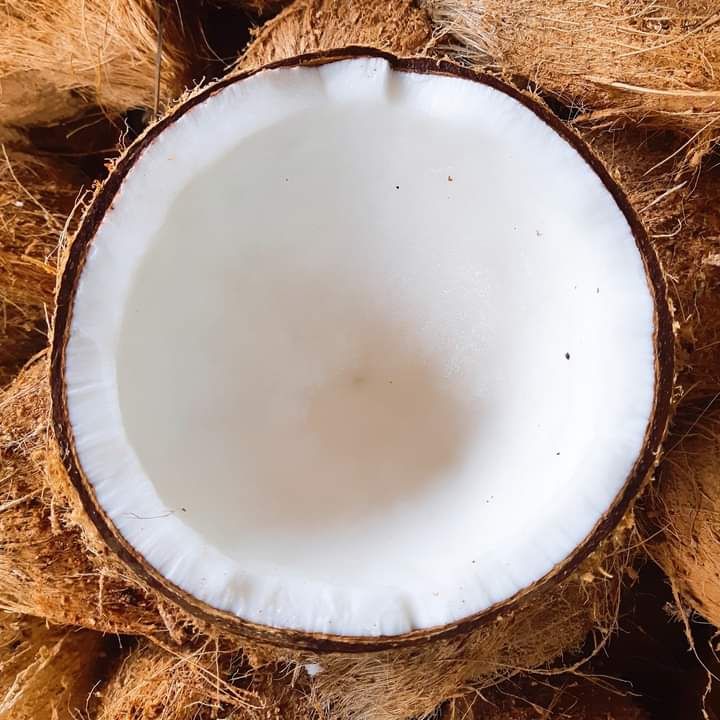 Dừa khô 1 trái trên 1kg