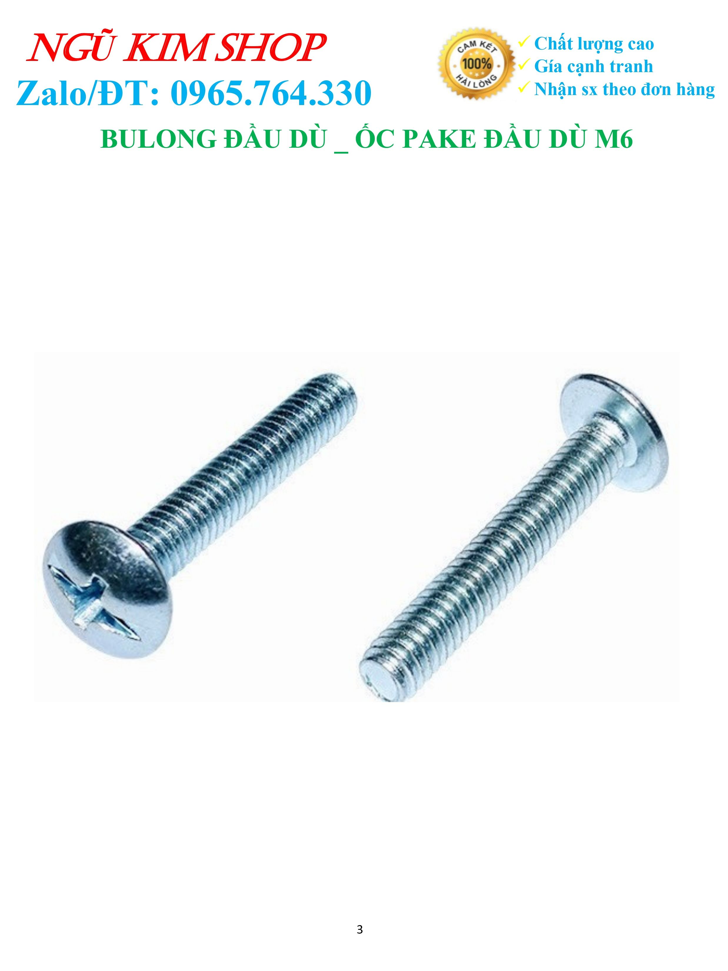 BULONG ĐẦU DÙ _ ỐC PAKE ĐẦU DÙ M6, M8 x L (mm)