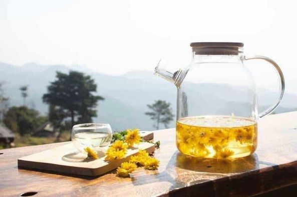 TRÀ CÚC HỮU CƠ NGUYÊN BÔNG DM BIO