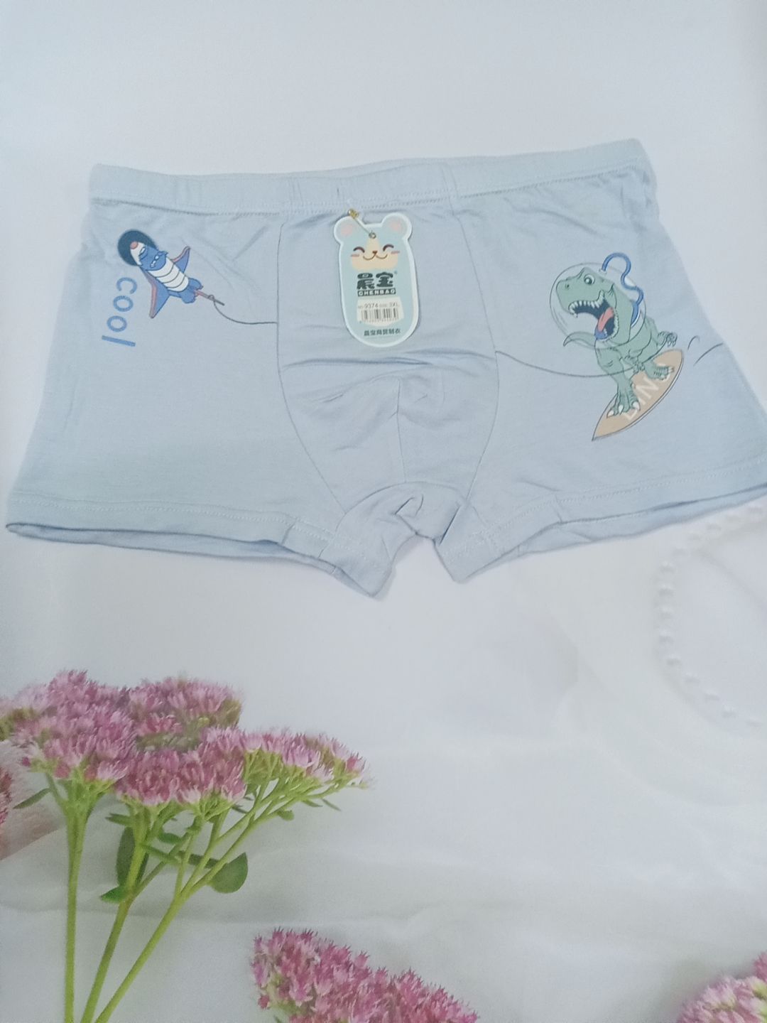 COMBO 5 QUẦN CHIP BÉ TRAI THUN SỊN IN GẤU (28-33kg )