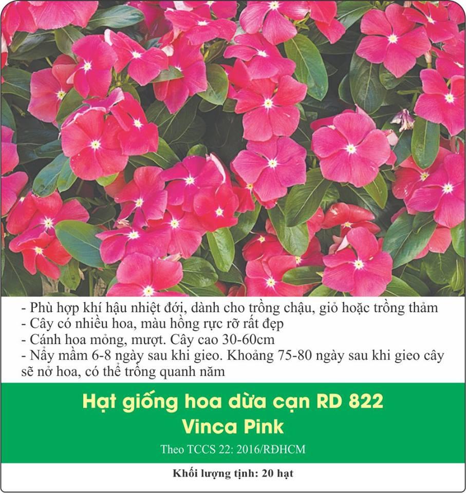 Hạt Giống Hoa Dừa Cạn (0.03gr)