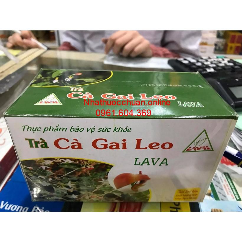 Trà cà gai leo LAVA