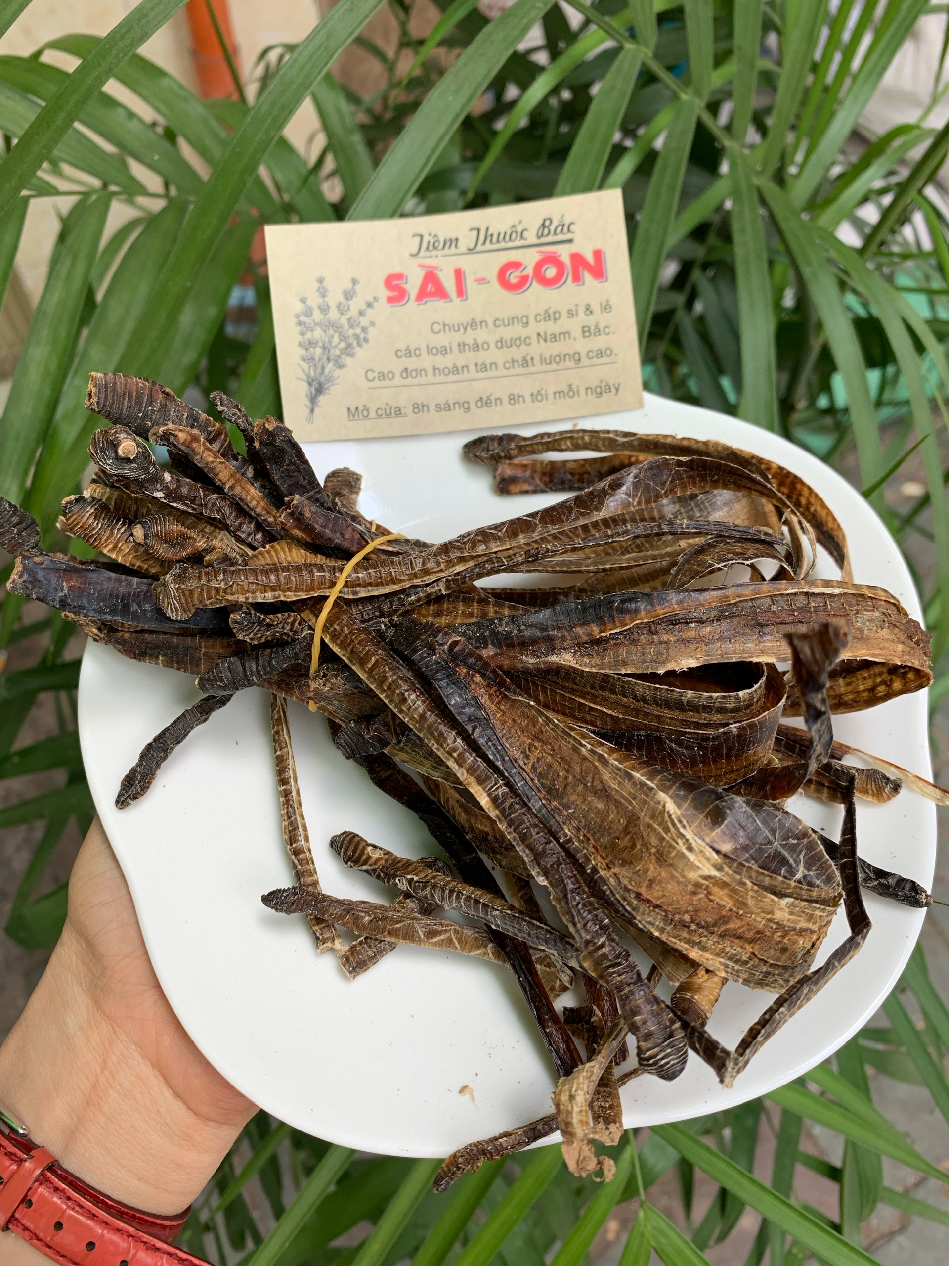 [HCM]Địa Long Khô Sạch Đẹp 100g