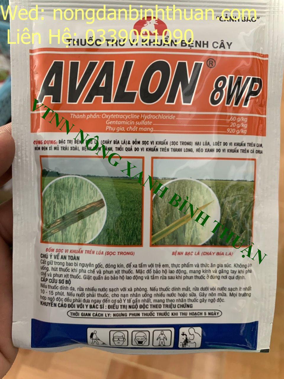Avalon 8wp TRỪ bệnh thối nhũn trên hoa lan - TRỪ BÊNH VI KHUẨN