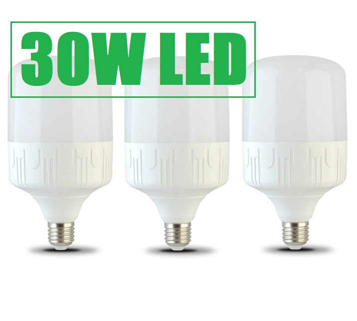 Bộ 3 Bóng đèn Led bulb 30W 6500K TOWO Ánh sáng trắng