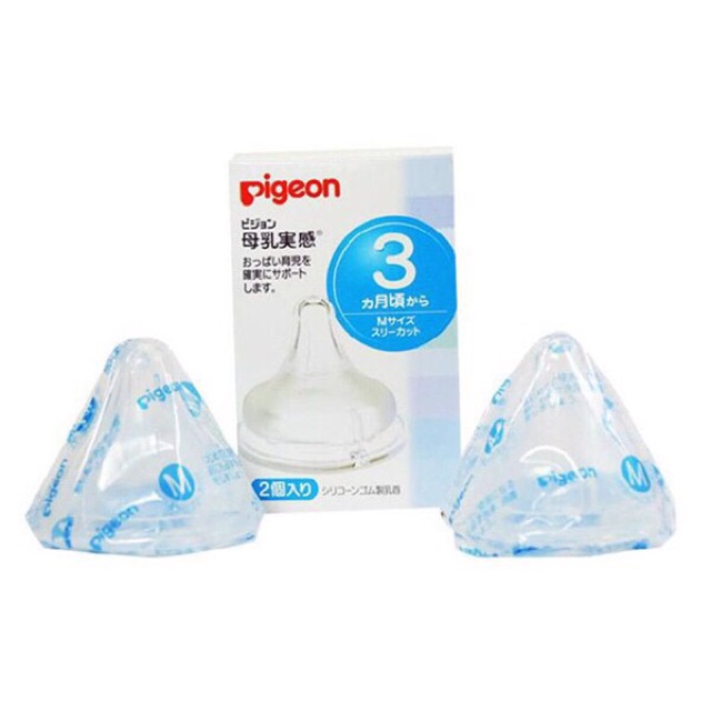 NÚM PIGEON NỘI ĐỊA