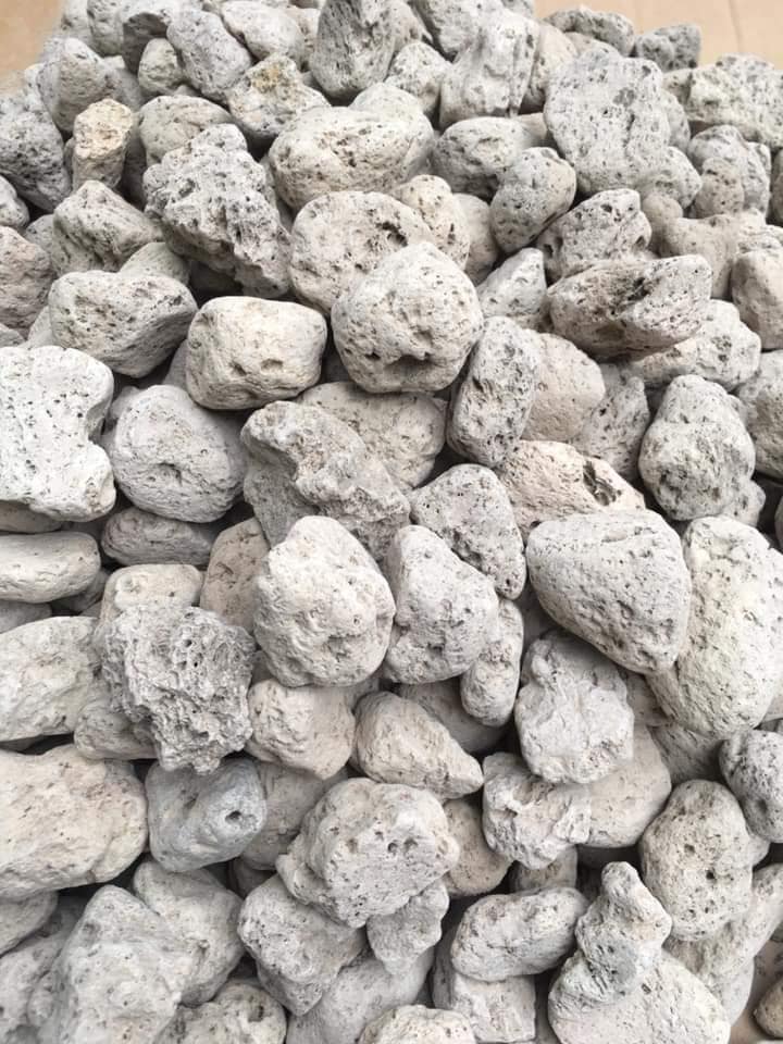 SEACHEM MATRIX - Vật Liệu Lọc Số 1 Cho Bể Cá