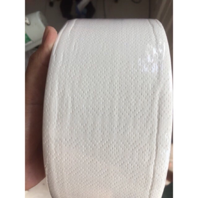 Giấy vệ sinh cuộn loại lớn (500gr)