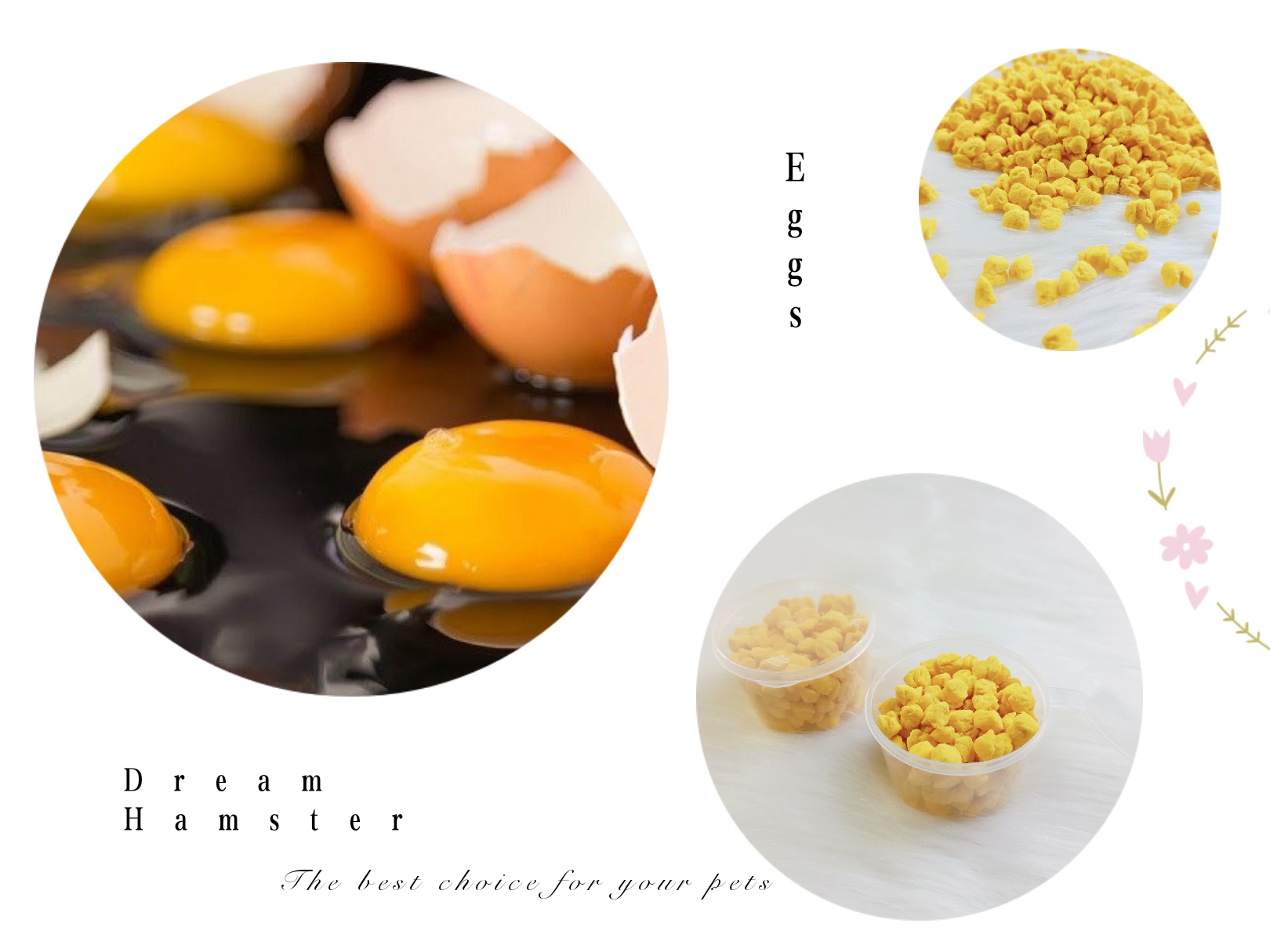 Lòng đỏ trứng gà sấy cho hamster, thỏ, bọ,. (20gr)