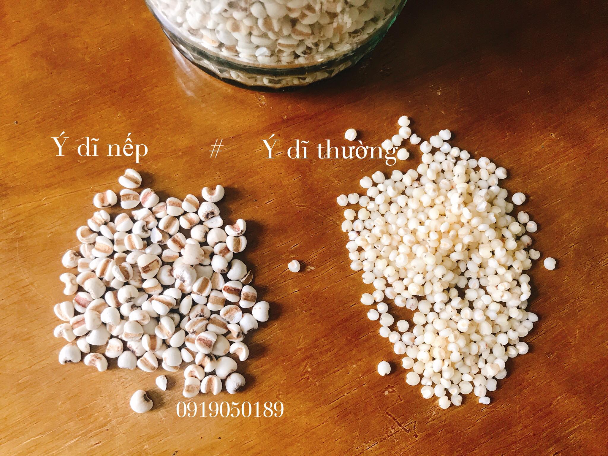 Hạt ý dĩ nếp hạt bobo 100gr