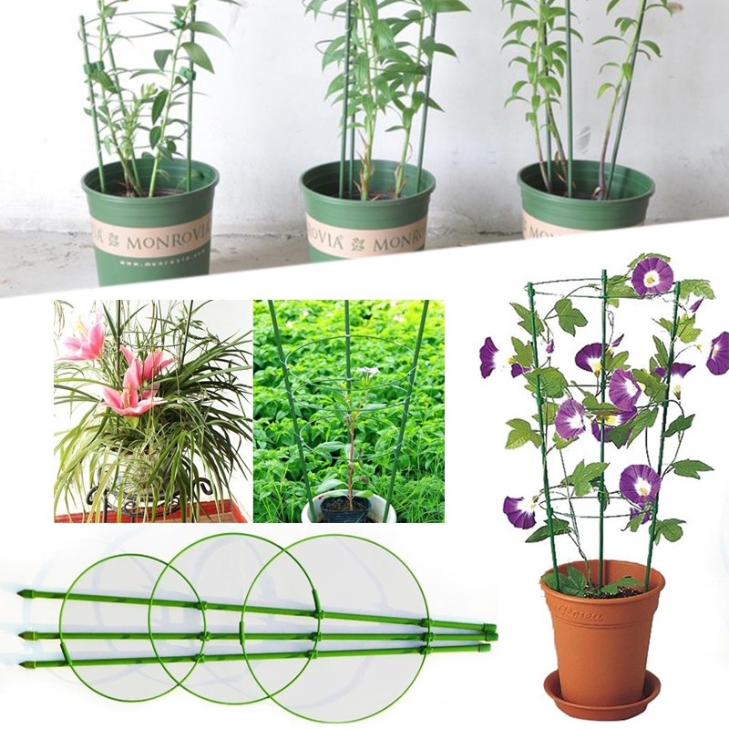 Giá đỡ hoa hồng, cây leo, cà chua cao 75cm, ĐK vòng: 22-27cm