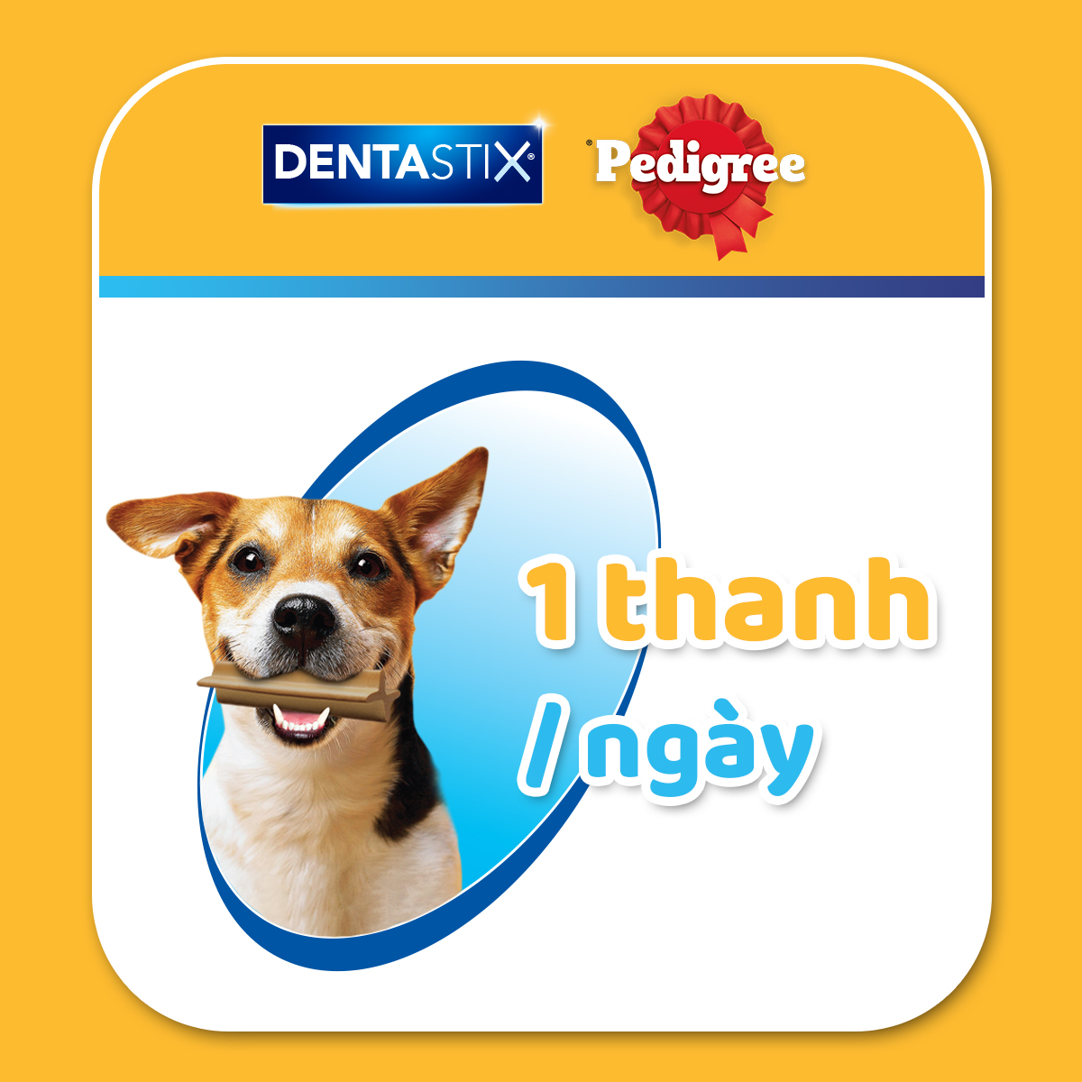 [DATE 16.7][Quà tặng không bán] Bánh xương dành cho chó Pedigree dentastix 98g
