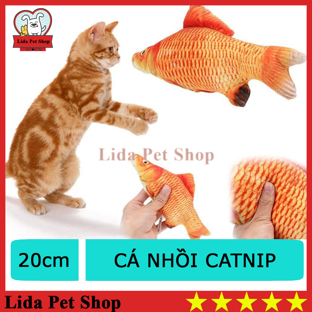 HN- Cá nhồi bông canip đồ chơi cho mèo (nhồi Cỏ mèo khô thành phẩm catnip mèo - cá bạc hà mèo), đồ thú cưng - Lida Pet Shop