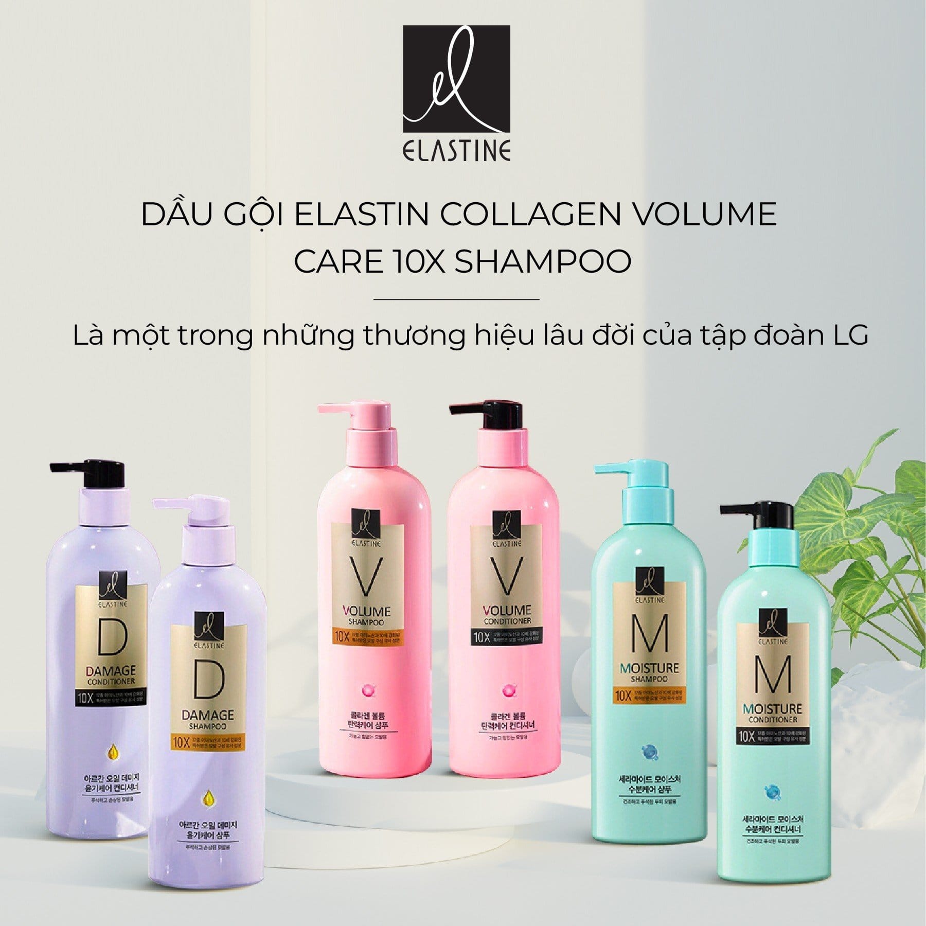 DẦU GỘI, DẦU XẢ ELASTIN (XANH- TÍM- HỒNG) 680ML- WANGJI