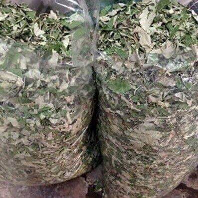 500gr trà lá sen khô tiêu mỡ giảm cân .