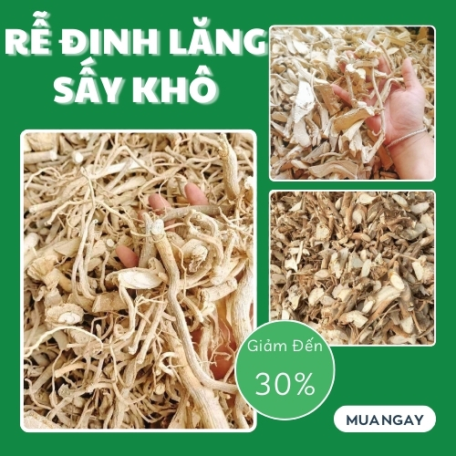 [Hàng công ty mới về] Rễ đinh lăng khô 500g - Hỗ trợ bồi bổ và tăng cường sinh lực