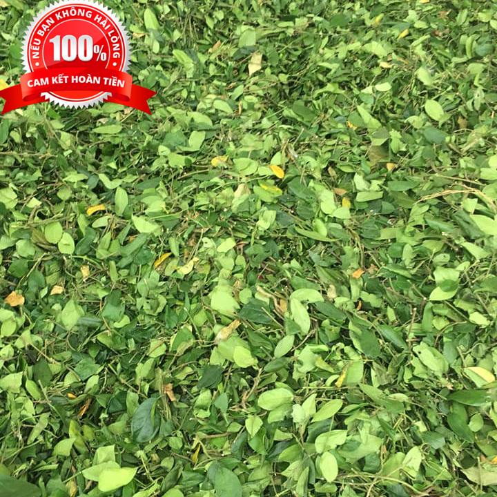 Dây thìa canh - Hải Hậu Nam Định gói 1kg