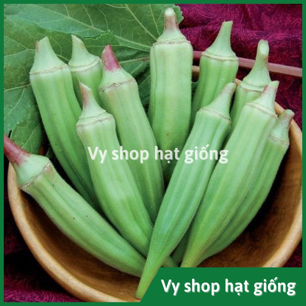 Hạt giống đậu bắp xanh Thái Lan gói 75 hạt