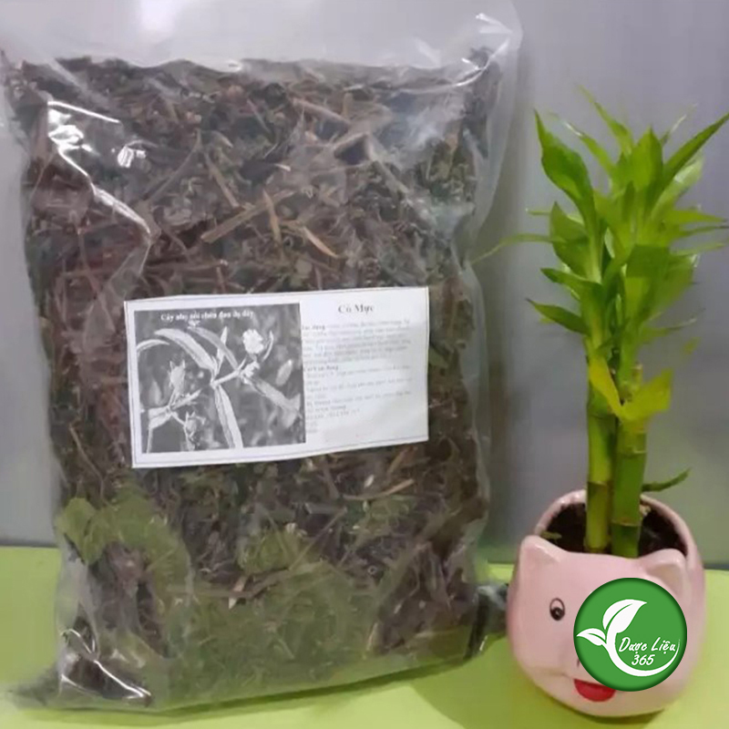 Cây nhọ nồi (cỏ mực) - DL222