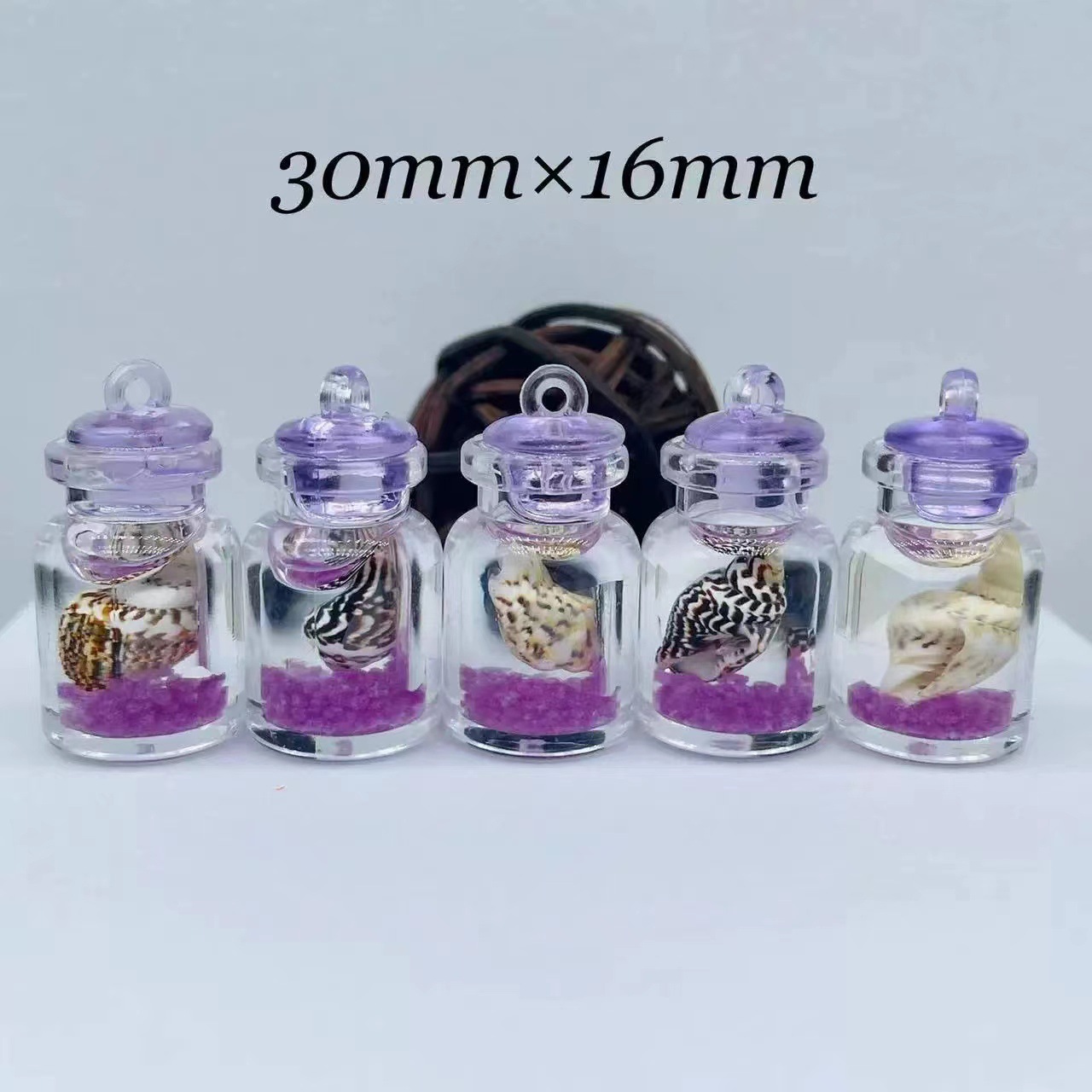 Mô hình lọ thủy tinh vỏ ốc mini dạ quang phát sáng mới nhất 2023