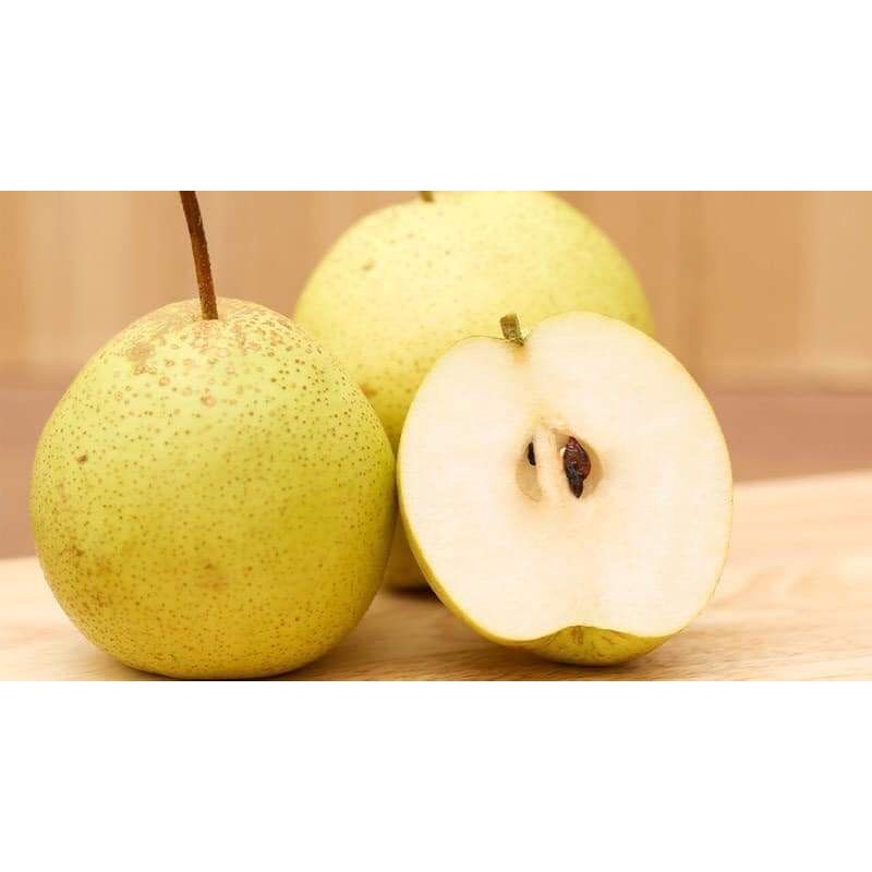 CÂY GIỐNG LÊ VÀNG TỨ QUÝ (SIÊU SỚM)